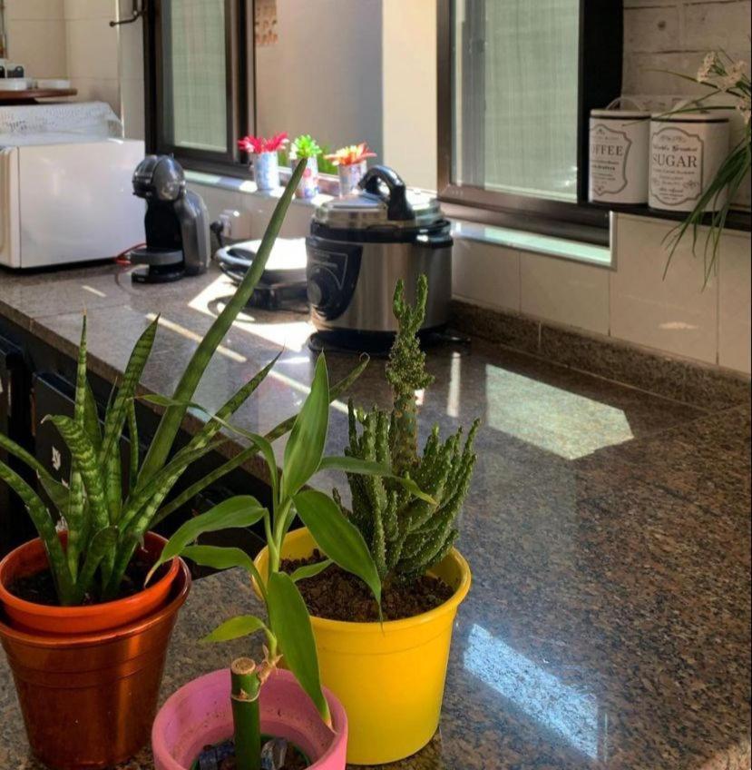 Alma De Mare Hostel Γκουαρούχα Εξωτερικό φωτογραφία